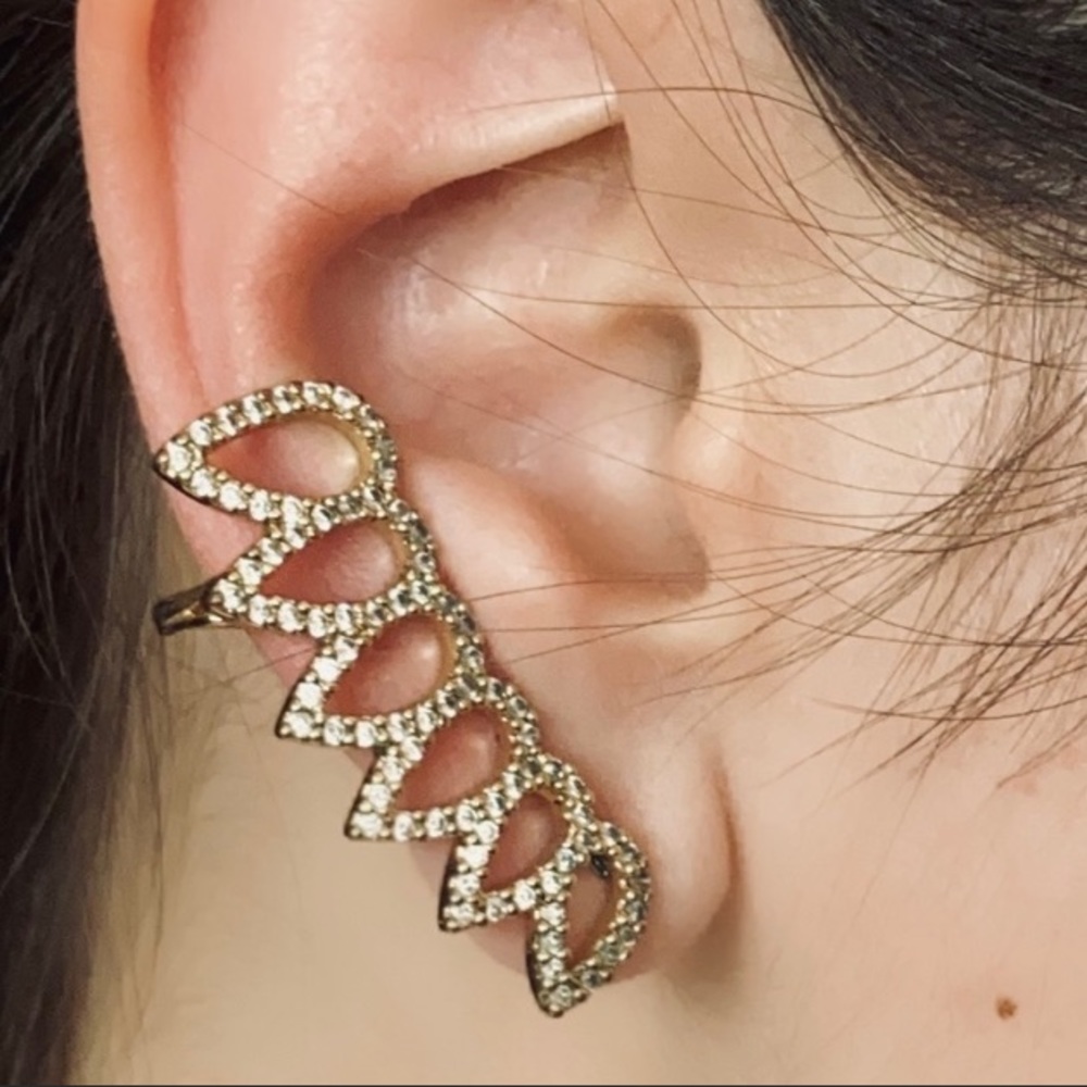 EXPRESS Earrings